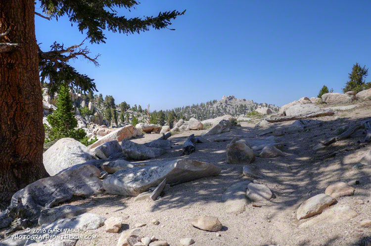 Cottonwood Pass (11,160').