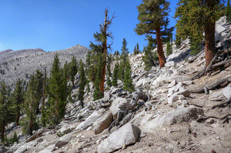 Nearing the top of Cottonwood Pass.