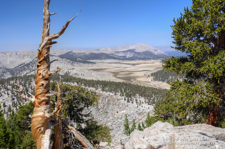 Siberian Outpost and Mt. Anna Mills from the PCT.