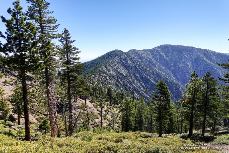 Mt. Burnham, Peak 9086, and Mt. Baden-Powell from the PCT near Throop Peak.
