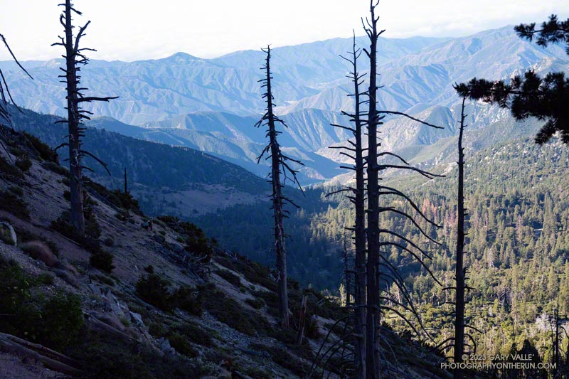 The Windy Gap Trailhead (5836') is down in the trees, in the Crystal Lake Recreation Area,