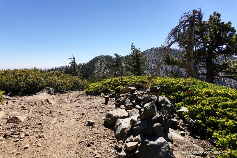 The unremarkable summit of Mt. Burnham (8997').