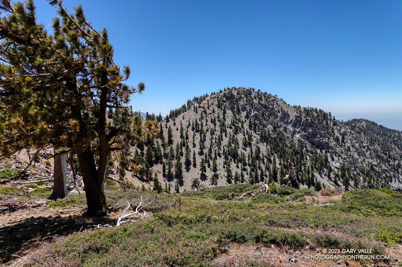 Hawkins ridge from the PCT.