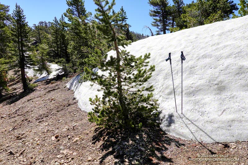Snowbank near Peak 9086. July 9, 2023.