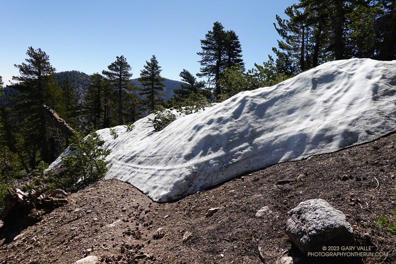 Snowbank below the Dawson Saddle Trail junction. July 9, 2023.