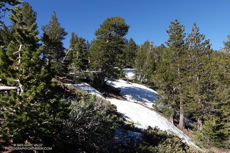 Snow near the Dawson Saddle Trail junction with the PCT. July 9, 2023.
