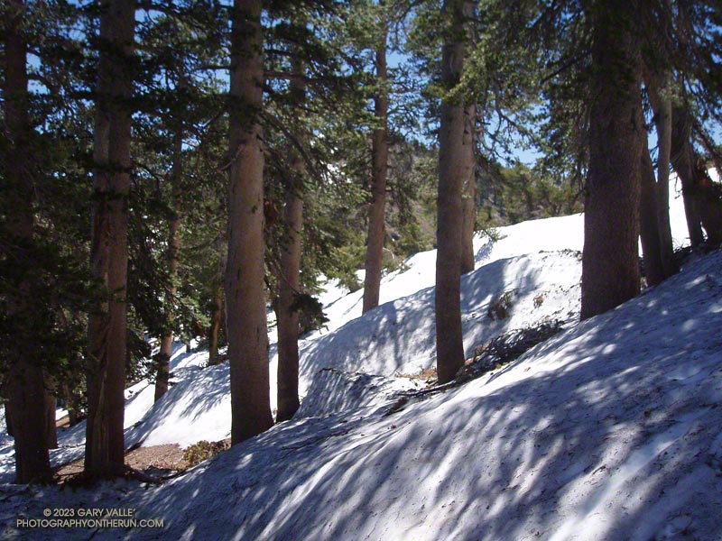 Snow near Peak 9086. July 3, 2005.