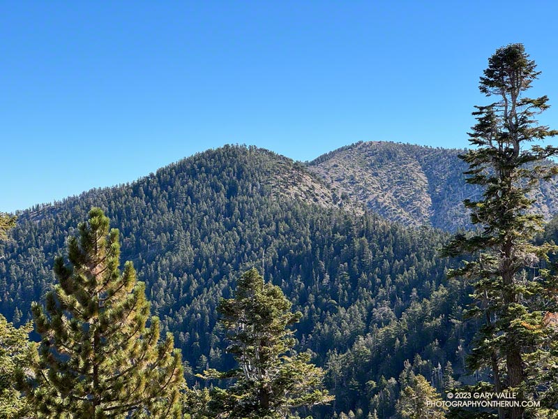 Mt. Burnham (8,997') and Mt. Baden-Powell (9,399') from the Dawson Saddle Trail.