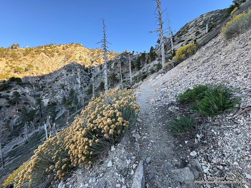Mt. Islip (8250') and Windy Gap (7588') from the Windy Gap Trail.