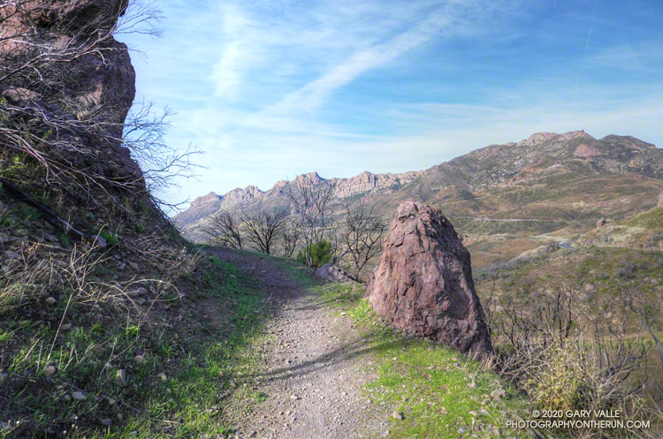 The Backbone Trail, northwest of the Triunfo Lookout and a mile or so from the Mishe Mokwa Trailhead. During the Winter this section doesn't get a lot of sun.