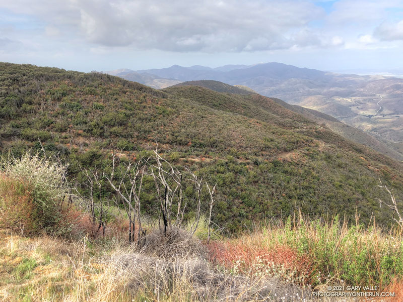 The same section of the Old Boney Trail on March 14, 2021.