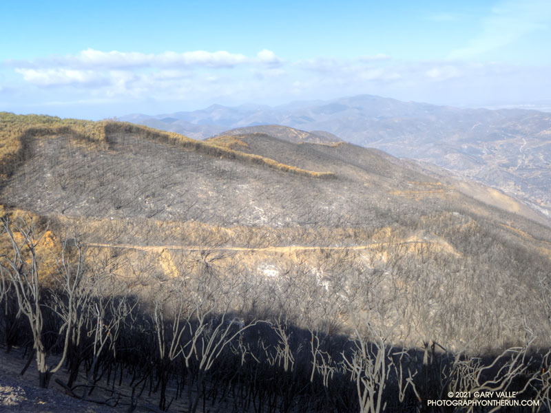 The Old Boney Trail following the 2013 Springs Fire. Photo is from a run on May 25, 2013.