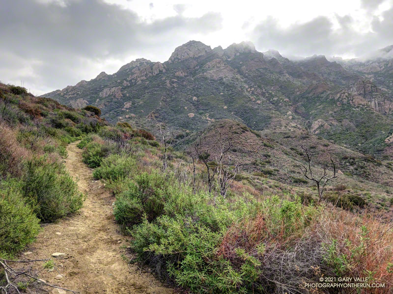 Old Boney Trail at about mile 9 of the Hidden Pond - Old Boney Loop from the Wendy Drive Trailhead.
