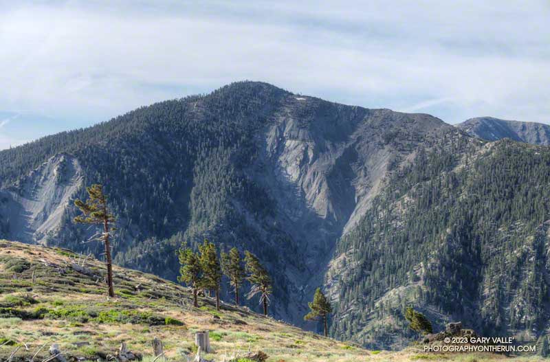 That's where I'm headed. A morning view of Pine Mountain (9648') from the PCT on Blue Ridge, just west of Guffy Camp. The elevation is about 8300'.