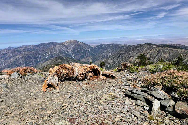Mt. Baden-Powell and Blue Ridge from the north side of Pine Mountain's broad summit.