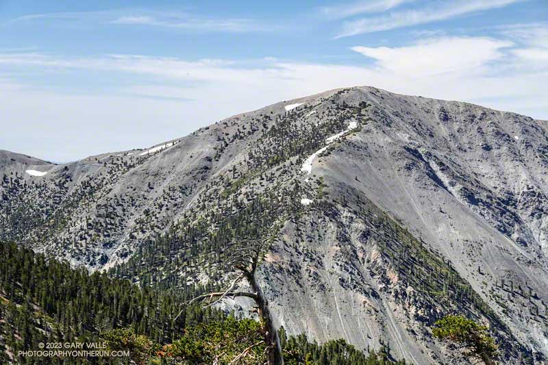 The upper North Backbone on Mt. Baldy. July 30, 2023.