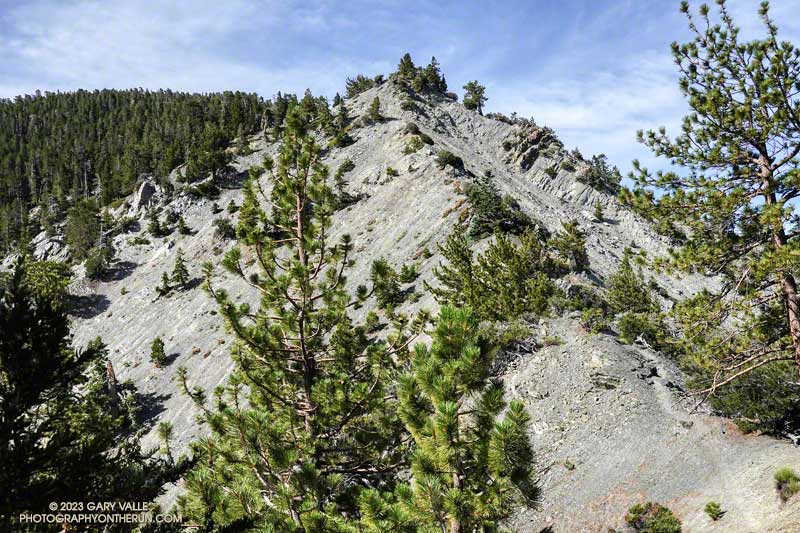 The 'second step' on Baldy's North Backbone trail. This section of the trail is a little more difficult than the 'first step' up to Peak 8555.