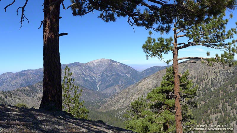 Mt. Baden-Powell from point 8555 on the North Devil's Backbone.