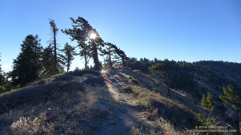Continuing east on the Pacific Crest Trail along Blue Ridge.
