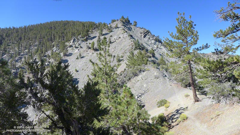 Continuing up the North Devil's Backbone above the lightning tree. The Pine Mountain juniper is above the next step.