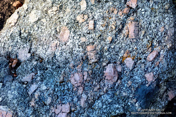 Quartz monzonite porphyry with large feldspar crystals along the John's Meadow Trail.