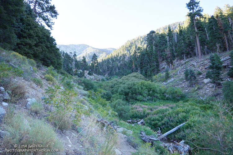 Forsee Creek from the John's Meadow Trail. The trail crosses the creek at an elevation of about 7270'.