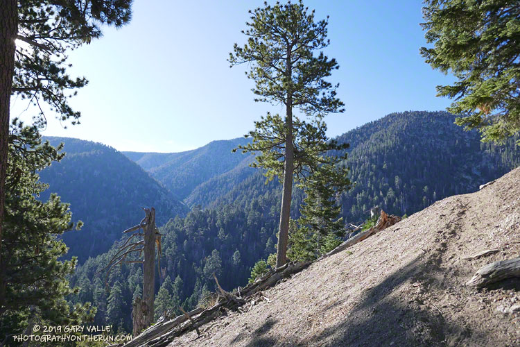 Forsee Creek flows through the prominent canyon on the left of the photo. One of the creek's sources is Trail Fork Springs. During the last ice age the canyon held one of San Gorgonio's small glaciers. 