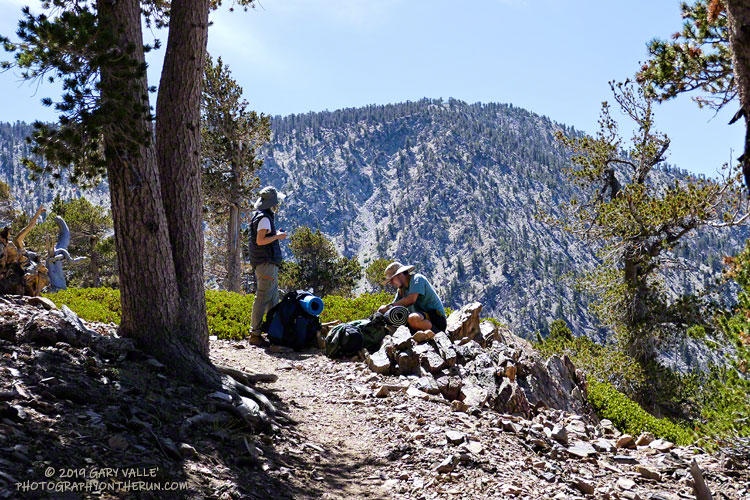 Hikers at about 9500' on Forsee Creek Trail. The peak in the background is East San Bernardino Peak, but the summit is hidden from view.