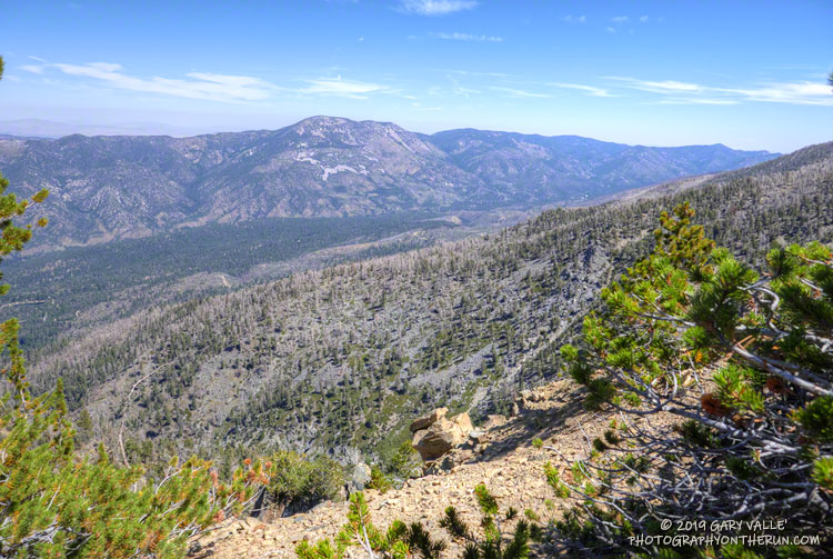 View from the Forsee Creek Trail across the canyon of the West Fork Barton Creek to an area of the San Gorgonio Wilderness burned in the 2015 Lake Fire. Sugarloaf Mountain (9952') is in the distance. Elevation at this point is about 10,160'.