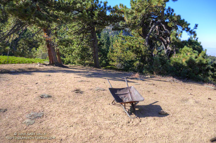The extension of the John's Meadow Trail meets the San Bernardino Peak Divide Trail at "wheelbarrow" junction. Elevation is about 8300'.