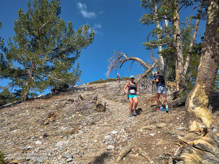 Runners descending Sugarloaf.