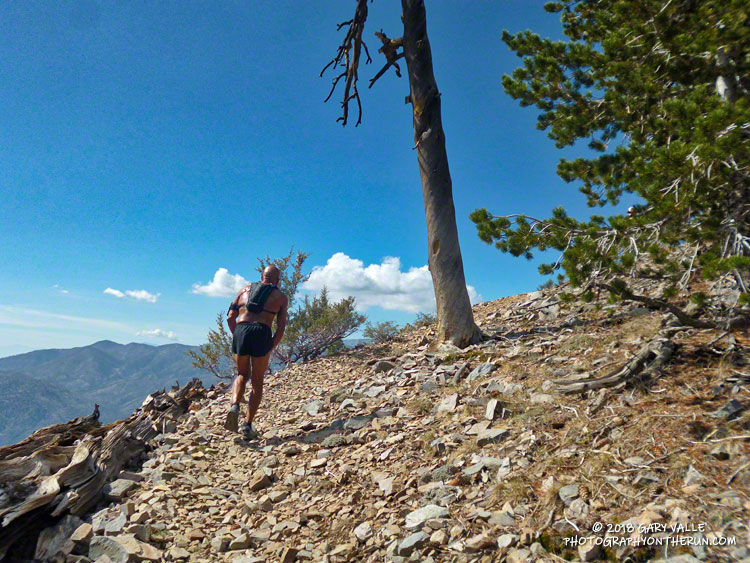 Runner at about 9800' on Sugarloaf and 0.4 mile from the summit. The elevation gain from the Sugarloaf aid station to the summit is about 3000'.