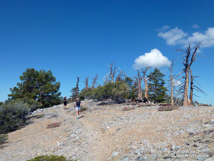 The summit can't be far now!