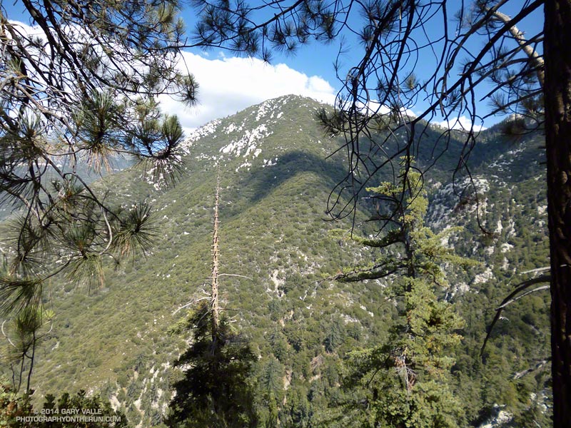 Bluff Peak from the Siberia Creek Trail. We'll eventually climb above it. (Photo @ mile 29.2/81.7)