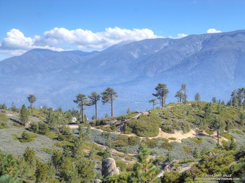 Clark's Summit from the Skyline Trail. San Gorgonio Mountain and the San Gorgonio Wilderness in the background. (Photo @ mile 36.4/88.9)