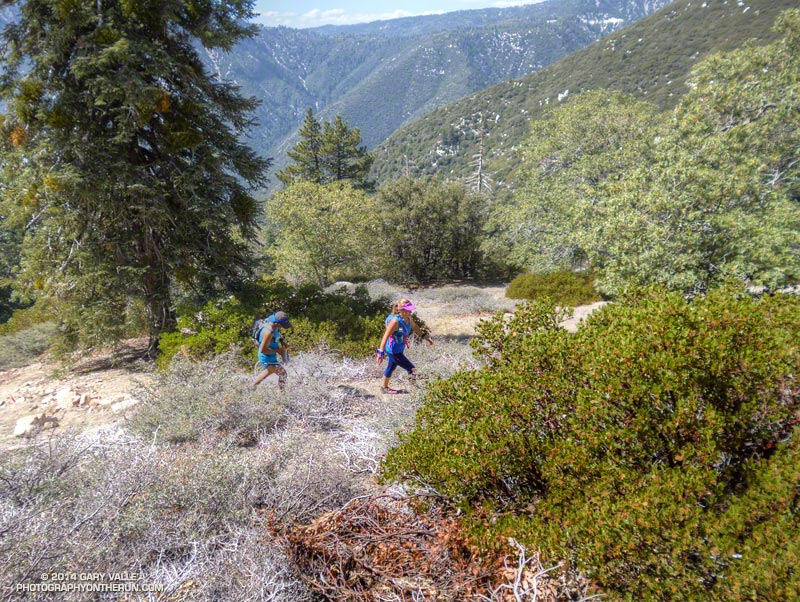 Continuing up the Siberia Creek Trail. (Photo @ mile 31.7/84.2)