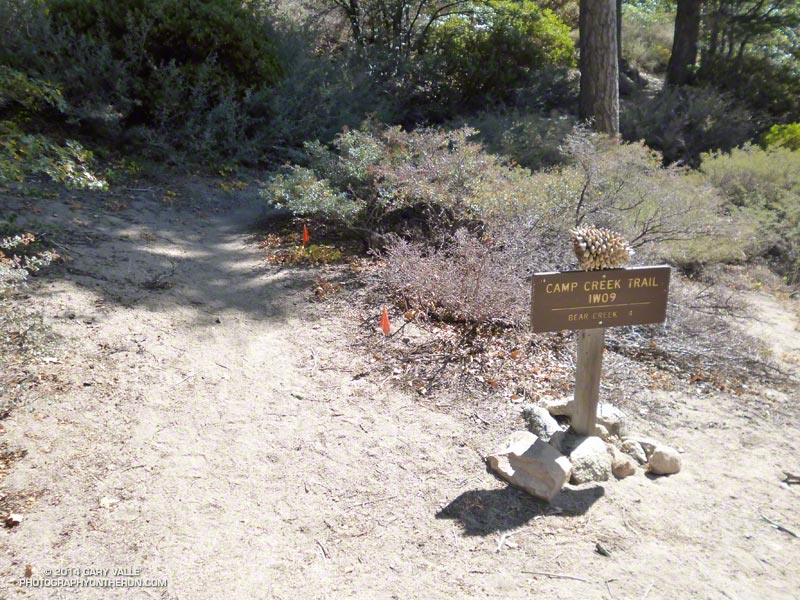 Your 2200' descent to Hades begins here...after a short climb. The sign says 4 miles to Bear Creek, but it's probably closer to 3. That's a Coulter Pine cone on top of the sign. (Photo @ mile 23.9/76.6)