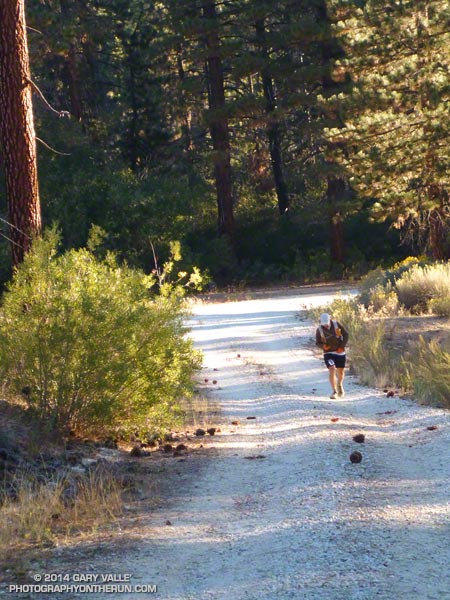 100 miler Cameron Balma on road 2N13, about a quarter-mile past the Fawnskin aid station. (Photo @ mile 10.6/62.9)
