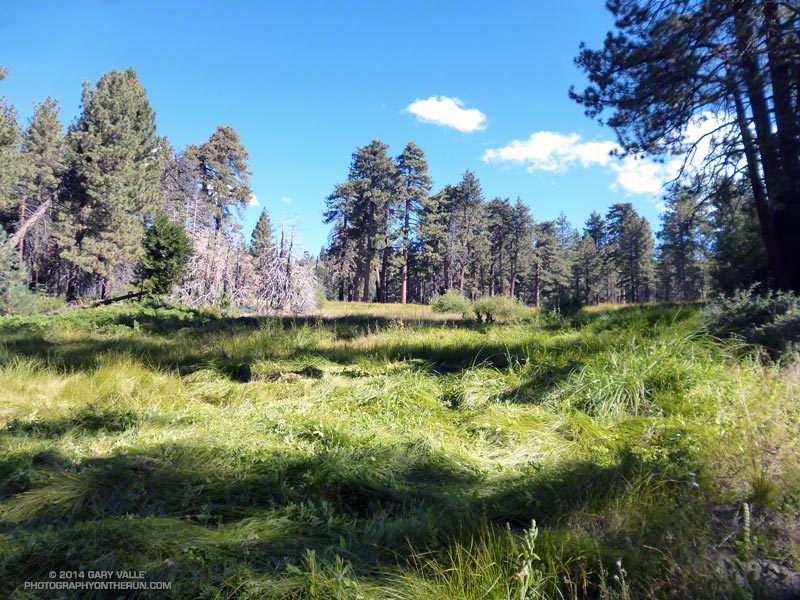 Idyllic Little Green Valley, about 1.75 miles from Rim Nordic - Camp #3. (Photo @ mile 21.2/73.9)