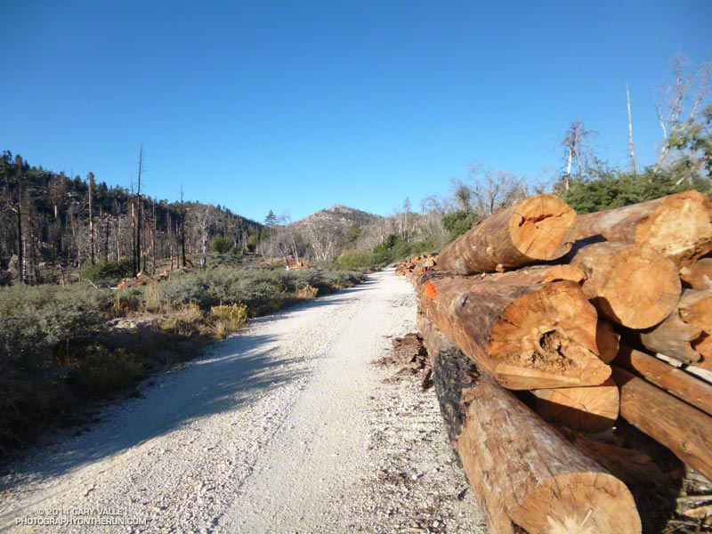 This stretch of dirt road is near Grays Campsite and Grout Creek, below Gray Peak. This area was burned in the 14,000 acre Butler 2 Fire in September 2007. (Photo @ mile 11.0/63.7)