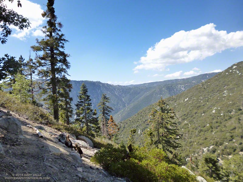 The Camp Creek Trail descends the canyon wall in the distance just right of the center of the photo. Rim Nordic is at the dip in the skyline at the center of the photo..(Photo @ mile 31.7/84.2)