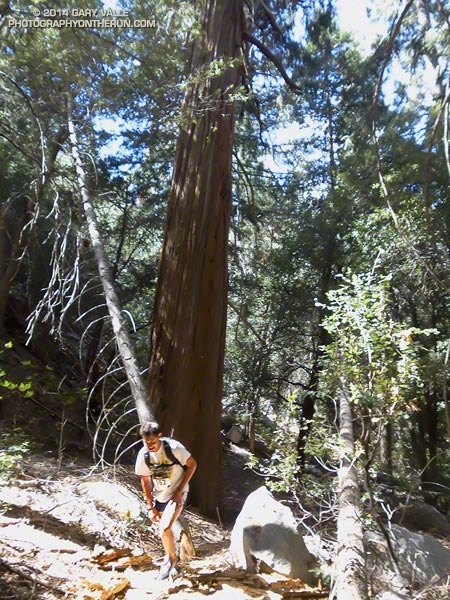 Noah Sloan at the start of the switchbacks on the Siberia Creek Trail. This was his first time running an ultra. Congrats on your finish Noah! (Photo @ mile 27.4/80.0)