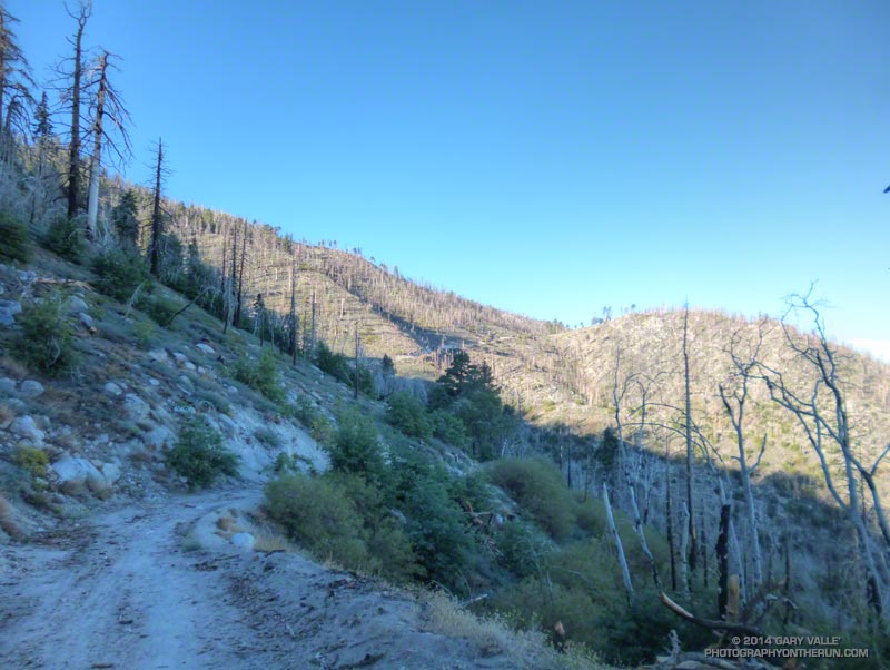 Yep, that road climbing up the hill is us! Snow Slide Road near Snow Slide Spring. (Photo @ mile 14.1/66.8)