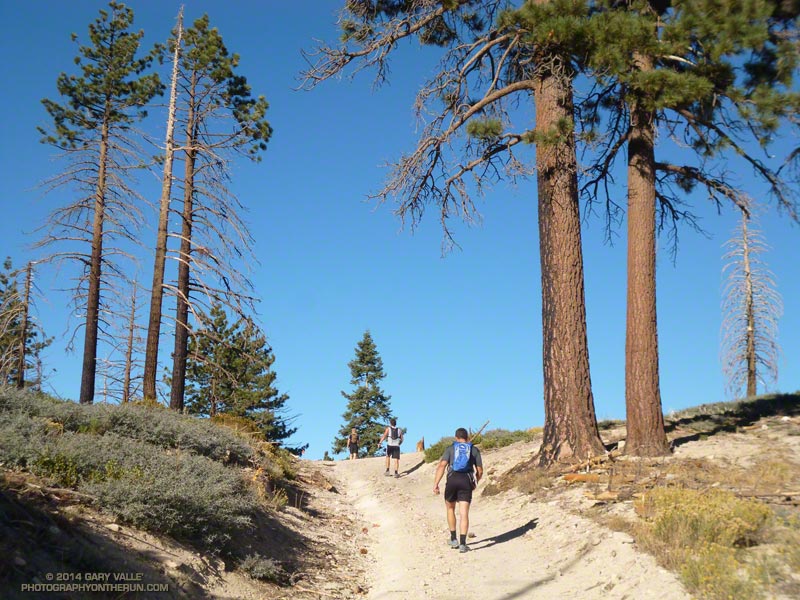 This year's 50 mile had fewer miles of single track on the first third of the course. This and an hour earlier start enabled runners to get to Rim Nordic earlier in the day. This is Snow Slide Road at a saddle near peak 7590. (Photo @ mile 14.9/67.5)