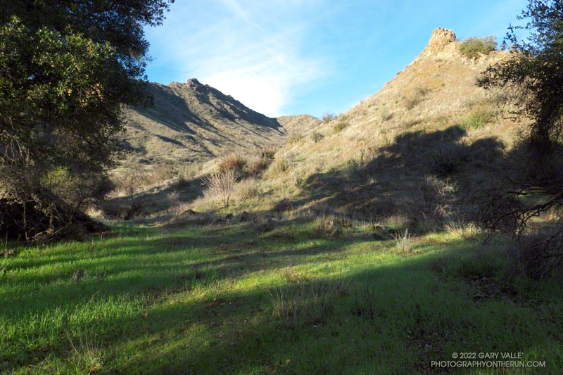 The steep path that accesses the East/Northeast Ridge is to the right. The summit of Ladyface is on the left.