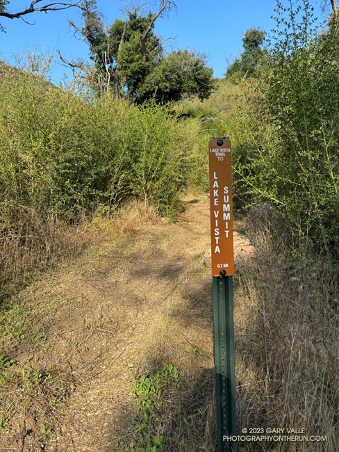 Junction of the Lake Vista Trail and Deer Leg Trail. From here, it's about three-quarters of a mile up to the overlook of Malibou Lake.