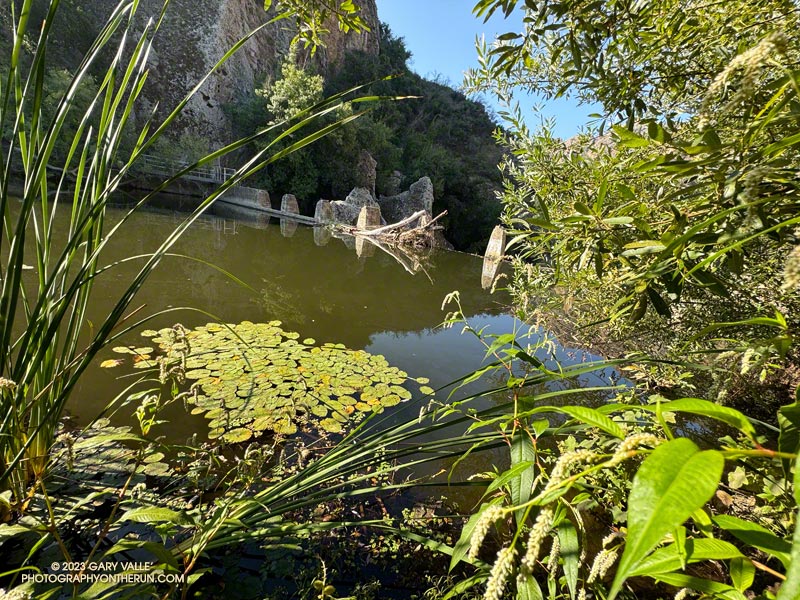 Century Lake Dam from the end of the Forest Trail in Malibu Creek State Park.