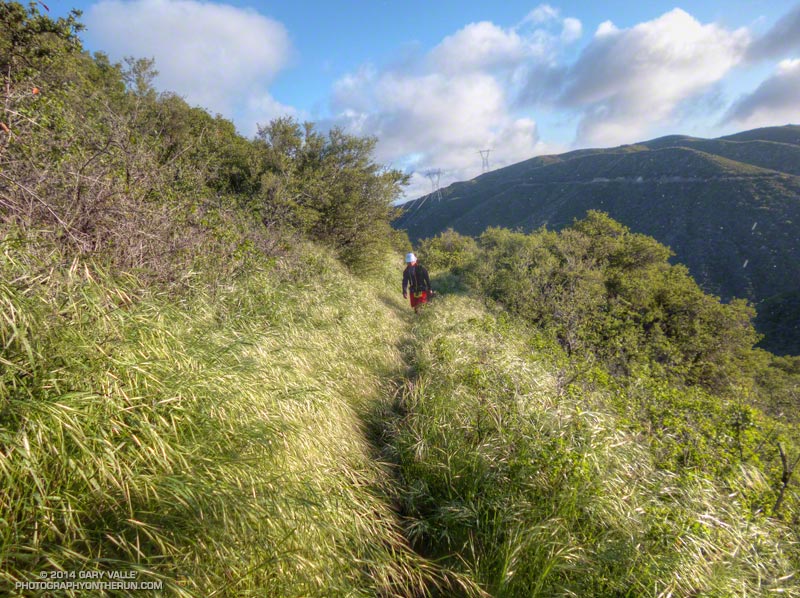 There was more growth and wildflowers along the trail that you might expect in the middle of a drought. This is at about mile 4.5. The lead 50K runner passed us here.