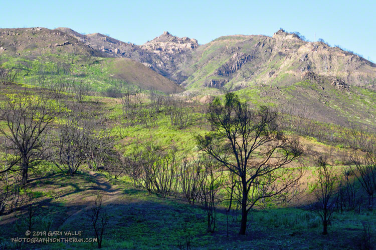Looking up at the Bulldog Mtwy from the M*A*S*H site. March 16, 2019..