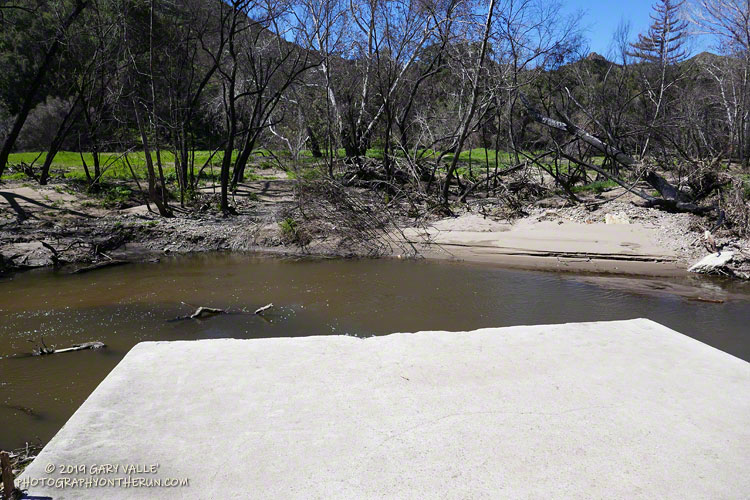 Where the trail used to be! A downed tree upstream of the footbridge is being used to cross the creek. March 16, 2019.